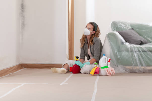 Reliable Black Mold Removal contractor in Cresson, TX by WQB Mold Removal